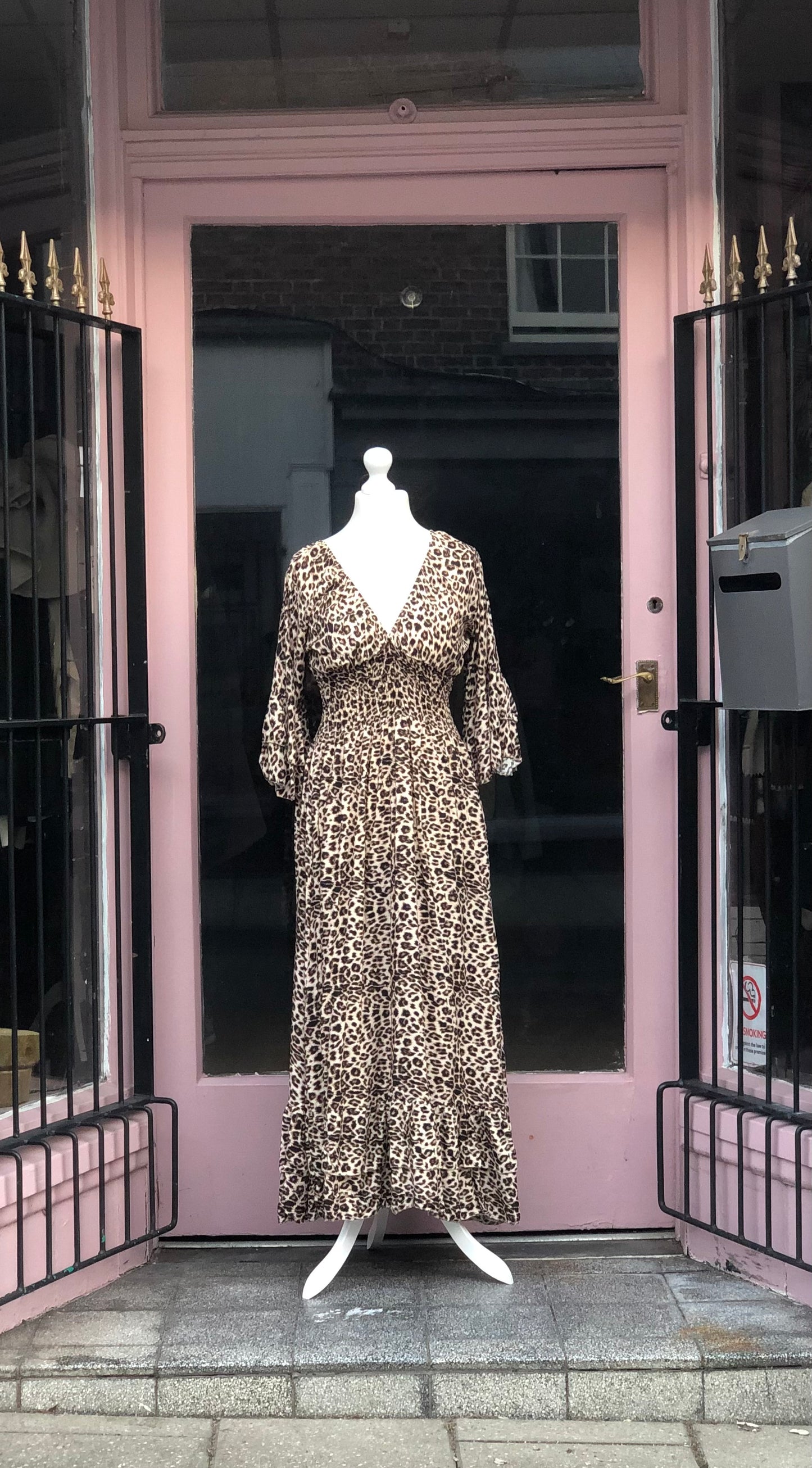Animal Print Maxi Dress
