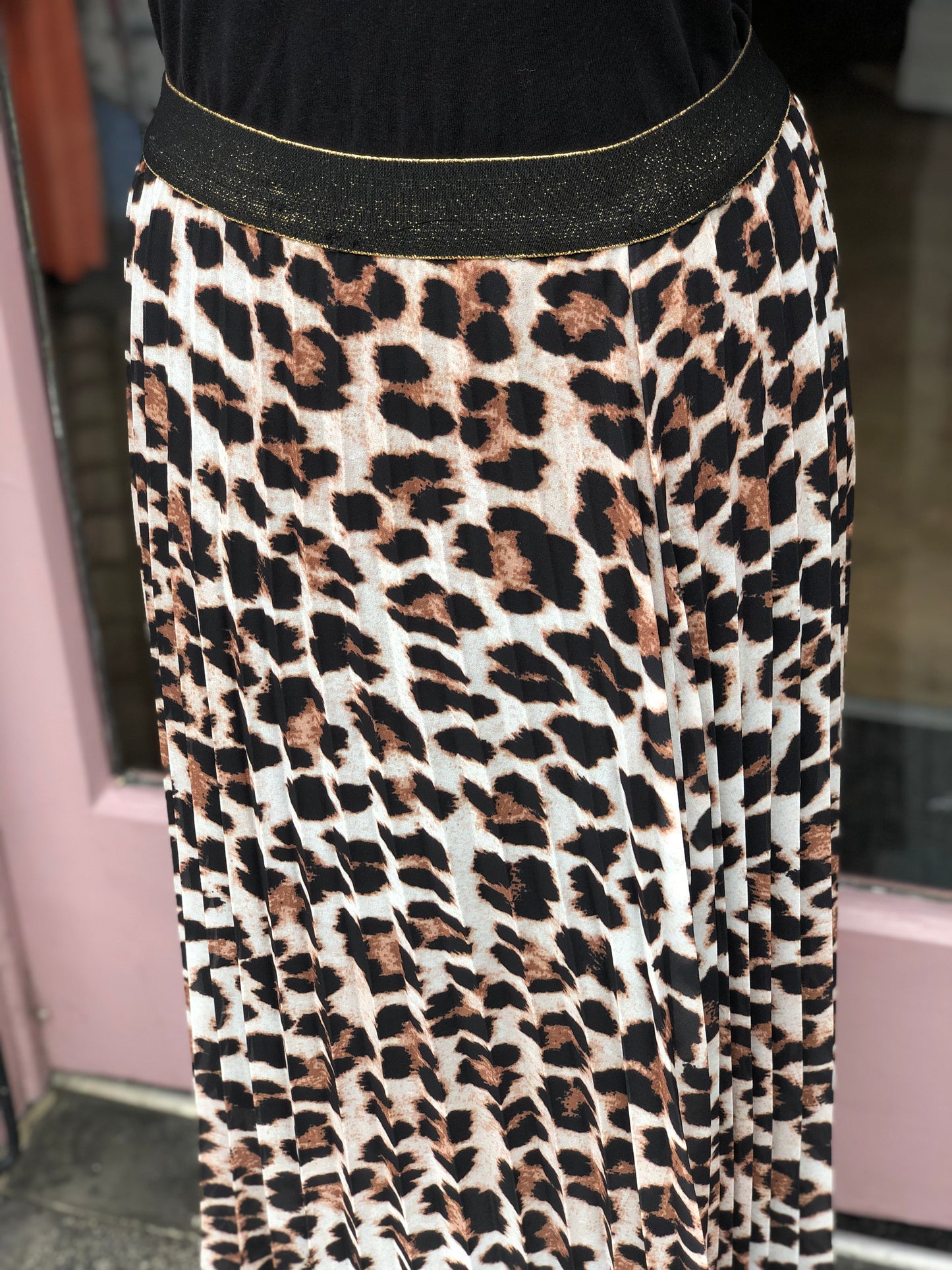 Cheetah Print Maxi Skirt